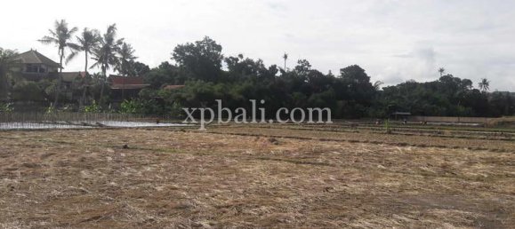 Terrain à Gianyar, Indonesia 2598m² No. 3801 2