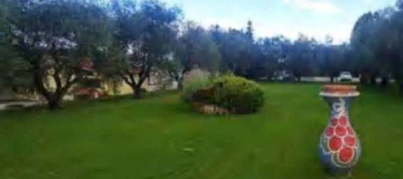 71658m² Warehouse in Carrara, Italy No. 372967 4