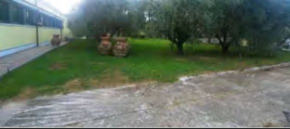 71658m² Warehouse in Carrara, Italy No. 372967 3