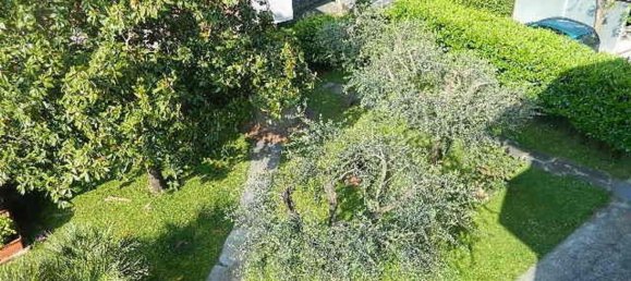 12 rooms House in Luni, Italy No. 139777 3