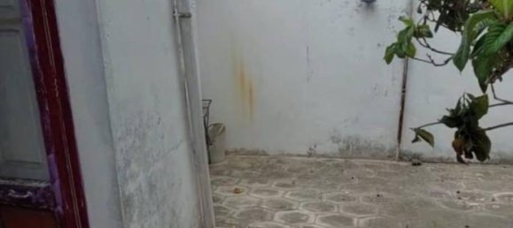 4-Zimmer Haus in Carmiano, Italy, Nr. 34287 16