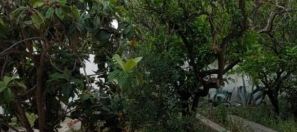 4-Zimmer Haus in Carmiano, Italy, Nr. 34287 21