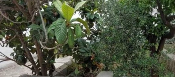 4-Zimmer Haus in Carmiano, Italy, Nr. 34287 4