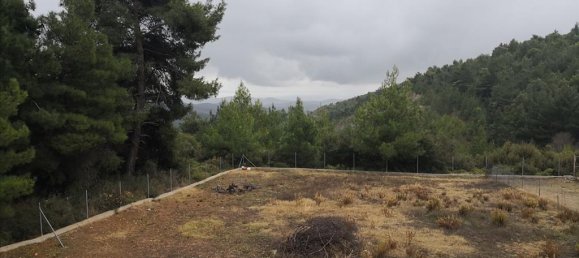 3 Schlafzimmer Villa in Polygyros, Greece, Nr. 5320 22