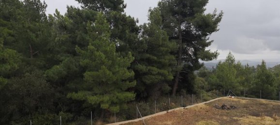 3 Schlafzimmer Villa in Polygyros, Greece, Nr. 5320 23