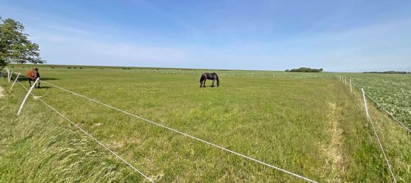 4غرفة منزل في Nordfriesland, Germany رقم 16556 24