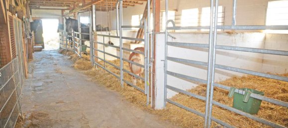 4غرفة منزل في Nordfriesland, Germany رقم 16556 22