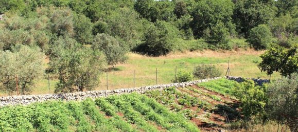 Villa de 3 divisões em Santeramo in Colle, Italy N.º 133644 21