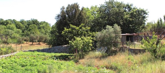 Villa de 3 divisões em Santeramo in Colle, Italy N.º 133644 20