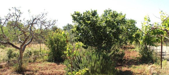 Villa de 3 divisões em Santeramo in Colle, Italy N.º 133644 4