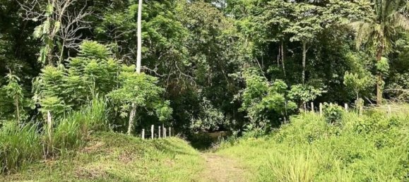 Grundstück in Garabito, Costa Rica, Nr. 1588 3