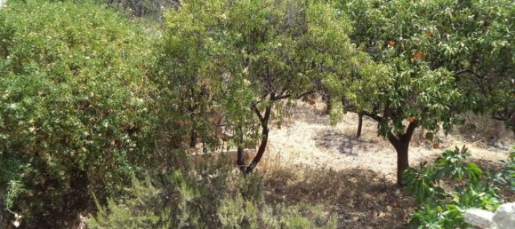 Villa de 13 habitaciónes en Sannicola, Italy No. 86771 47