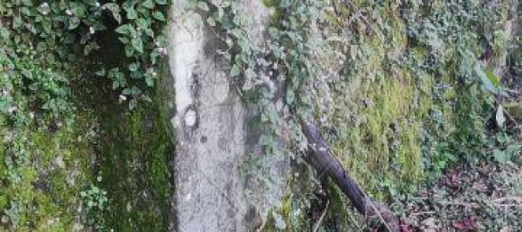 2 bedrooms House in Carvalheira, Portugal No. 176170 27