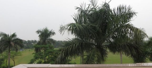 4 chambres Villa à Tay Ho, Vietnam No. 4953 18