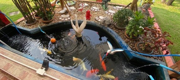 3 bedrooms House in San Sai, Thailand No. 5223 20