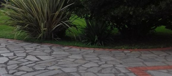 4-salle Appartement à Santo Stefano di Magra, Italy No. 280364 11