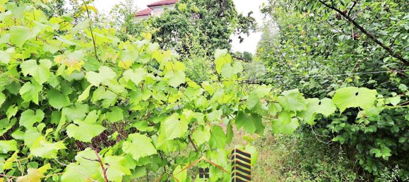 3 Schlafzimmer Haus in Yutz, France, Nr. 60354 13