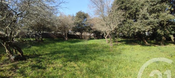 2220m² Land in Gard, France No. 338790 4