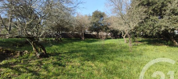 2220m² Land in Gard, France No. 338790 5