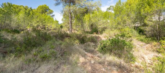 Terreno en Alicante, Spain No. 134472 4