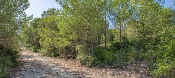 Terreno en Alicante, Spain No. 134472 2