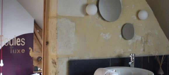 4 Schlafzimmer Villa in Orne, France, Nr. 344952 13