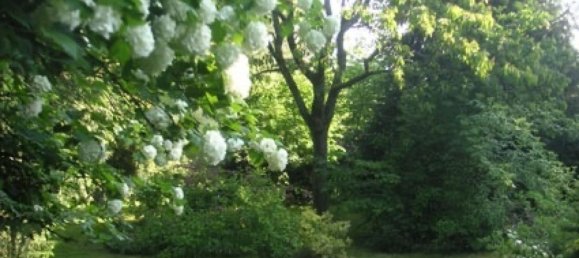 4 Schlafzimmer Villa in Orne, France, Nr. 344952 3