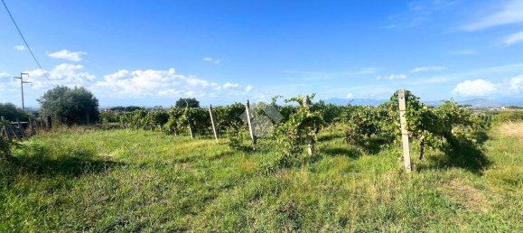 Terrain à Frascati, Italy 4600m² No. 336147 6