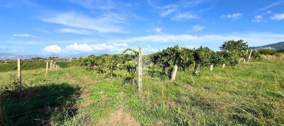 Terrain à Frascati, Italy 4600m² No. 336147 3