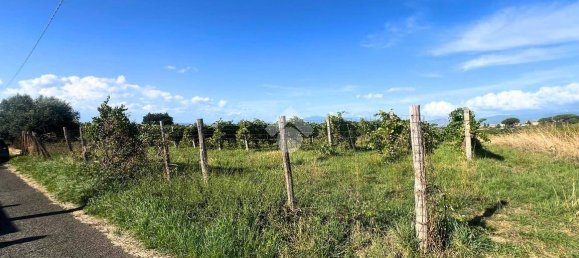 Terrain à Frascati, Italy 4600m² No. 336147 2