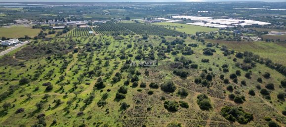  قطعة أرض في Tavira, Portugal 218836متر مربع رقم 50460 18