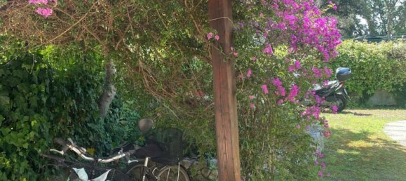 4-Zimmer Haus in Sabaudia, Italy, Nr. 253846 5