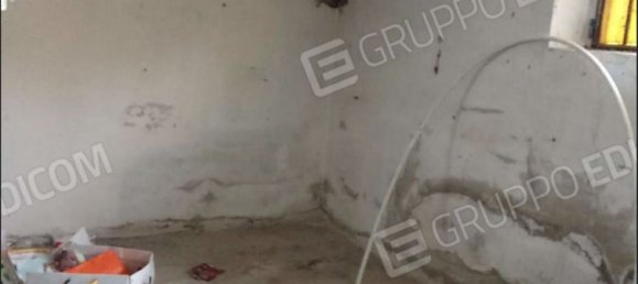 3 غرف نوم منزل في Isola Sant'Antonio, Italy رقم 360457 12