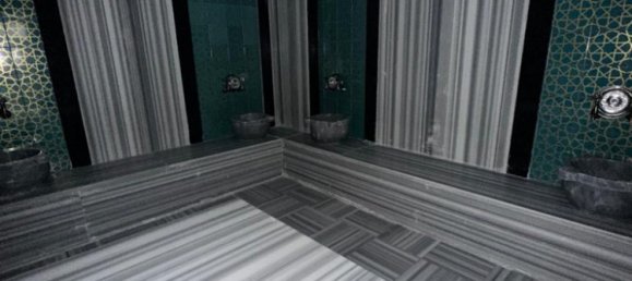 Penthouse 2+1 in Kestel, Turkey No. 9333 27