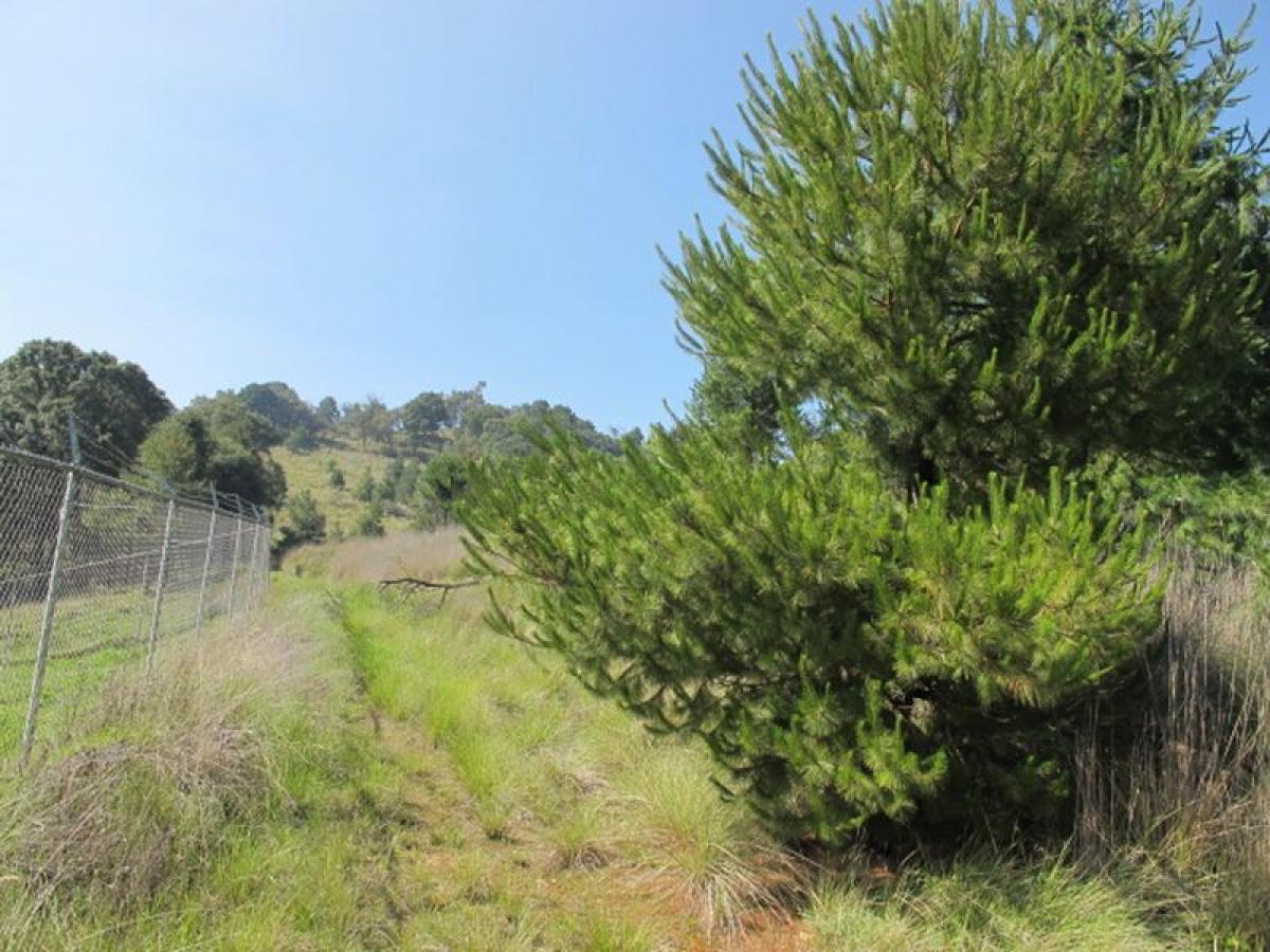 Земельный участок в Лерма, Мексика № 203864