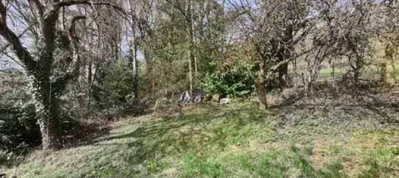  قطعة أرض في Merzig-Wadern, Germany رقم 70944 4