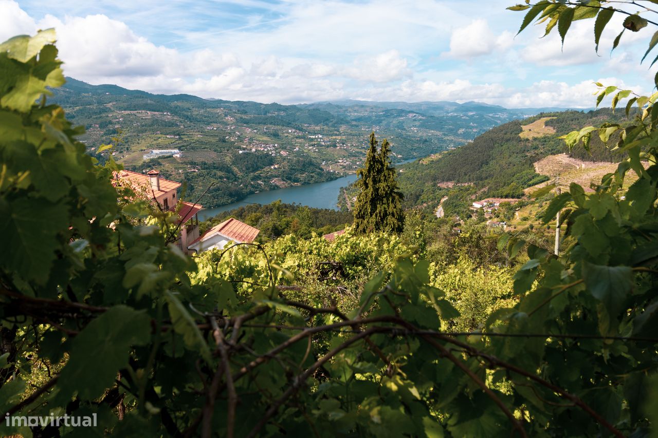 3000m² Land in Santa Marinha do Zezere, Portugal No. 289044