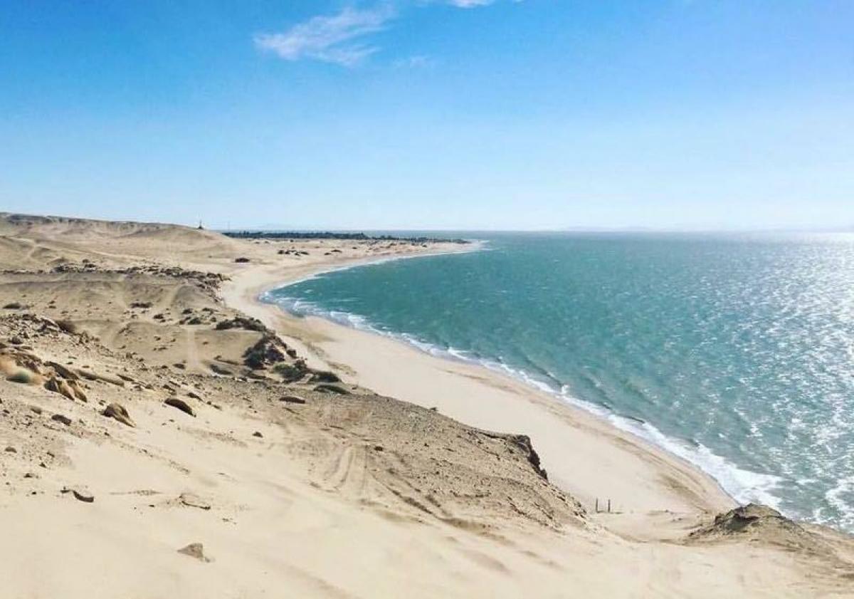 1701m² Building in San Luis Rio Colorado, Mexico No. 201902