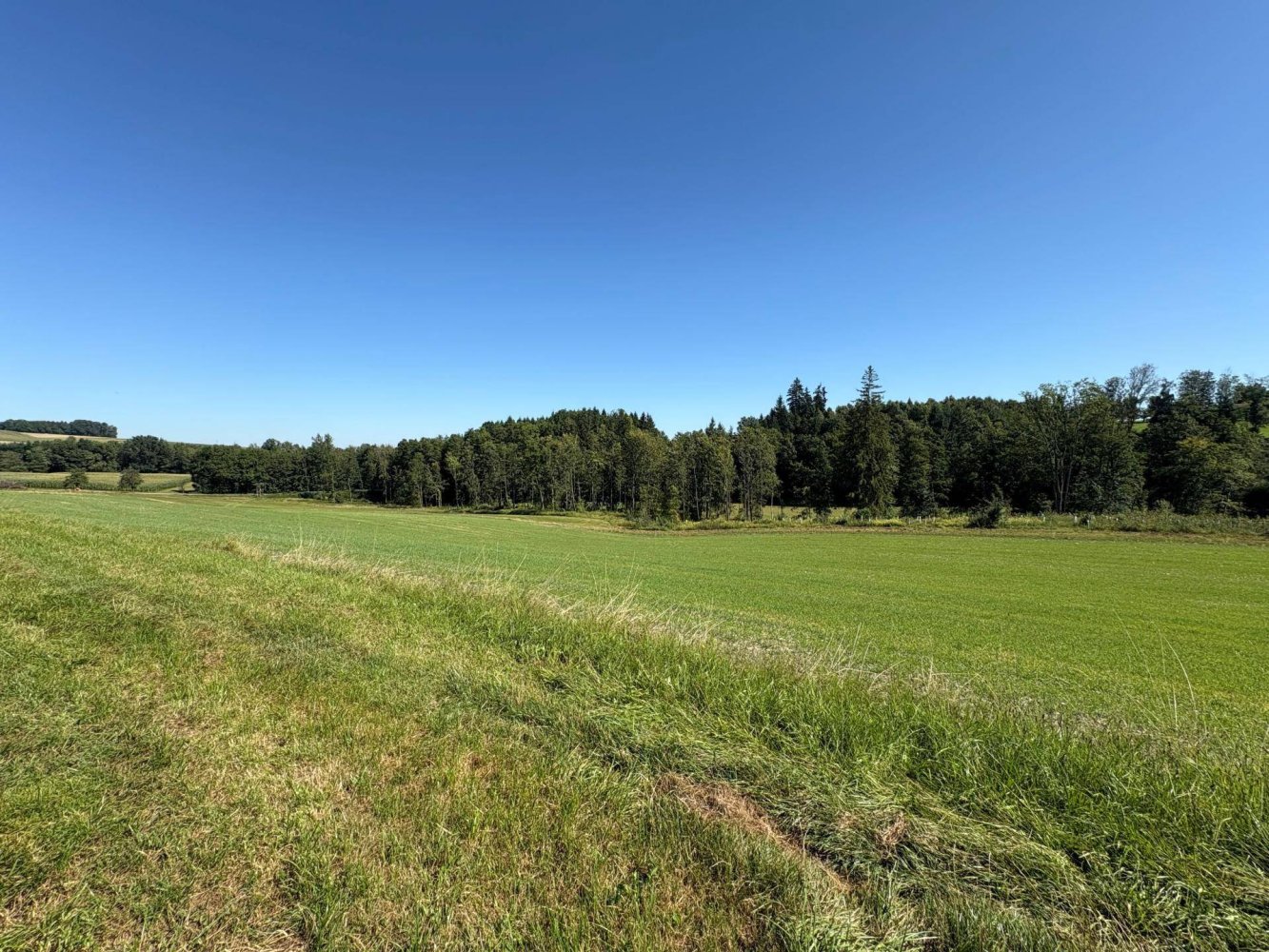 Grundstück in Utzenaich, Austria 49283m², Nr. 234619