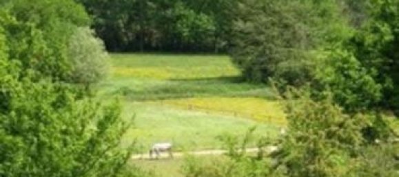 5-Zimmer Schlösser in Yonne, France, Nr. 363993 13