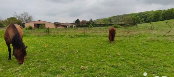 5-Zimmer Schlösser in Yonne, France, Nr. 363993 10