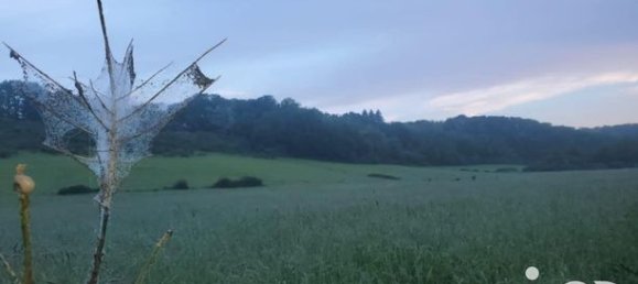 5-Zimmer Schlösser in Yonne, France, Nr. 363993 15