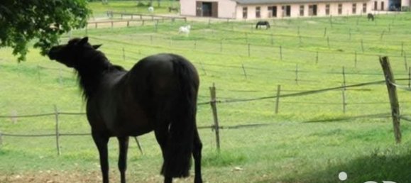 5-Zimmer Schlösser in Yonne, France, Nr. 363993 2