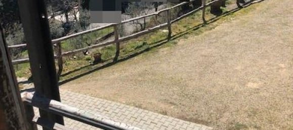 3 rooms House in Loro Ciuffenna, Italy No. 234383 7