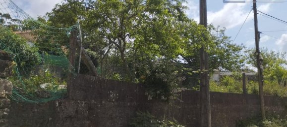 Дом с 3 спальнями в A Гуарда, Испания № 163245 8