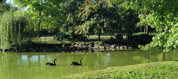 Casa de 5 dormitorios en Romorantin-Lanthenay, France No. 217572 24