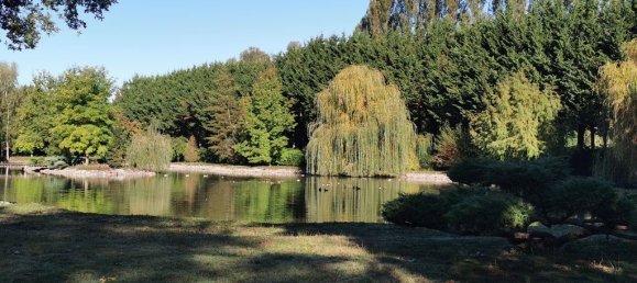 Casa de 5 dormitorios en Romorantin-Lanthenay, France No. 217572 23