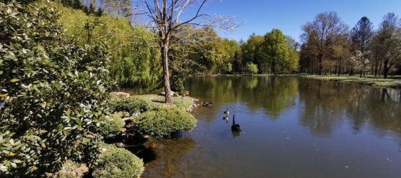 Casa de 5 dormitorios en Romorantin-Lanthenay, France No. 217572 3