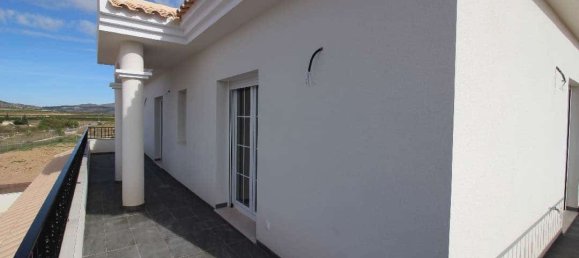 4 bedrooms Villa in Pinoso, Spain No. 10252 11