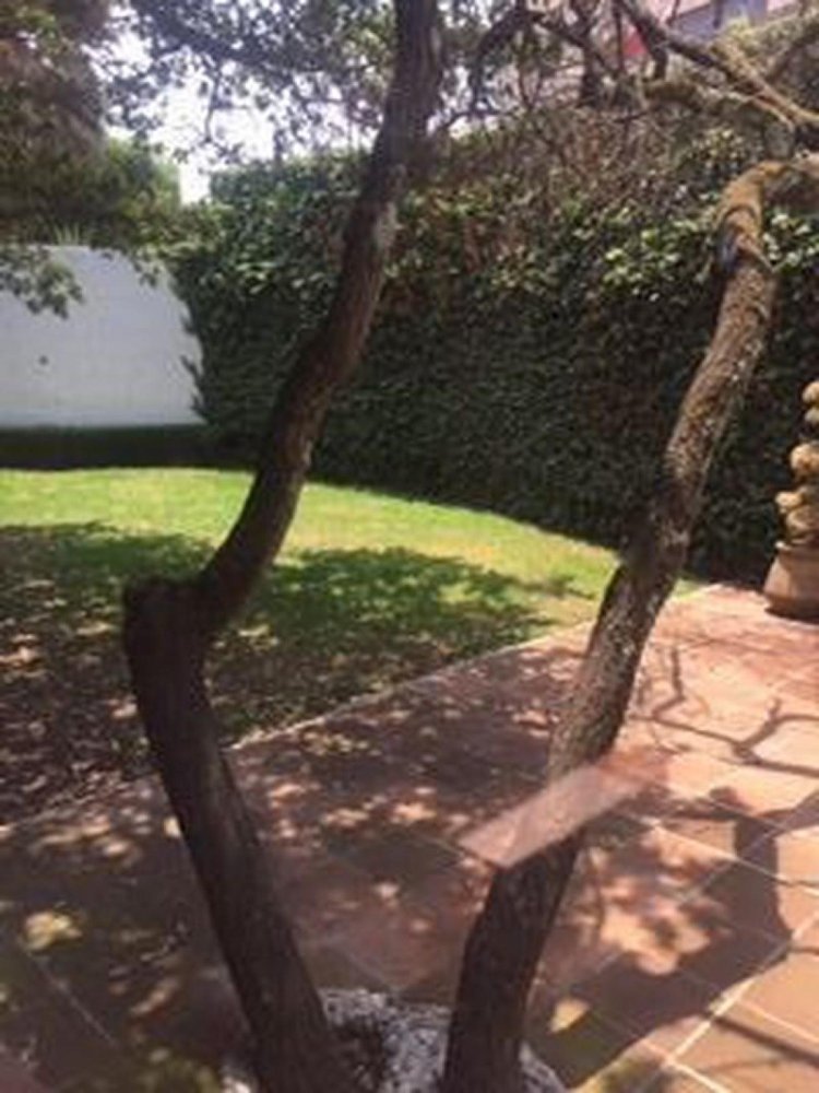 4 chambres Maison à Ciudad Lopez Mateos, Mexico No. 209415